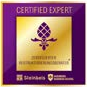 Steinbeis Certified Expert